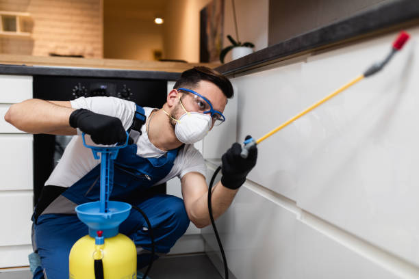 Pest Prevention Services in De Witt, NY