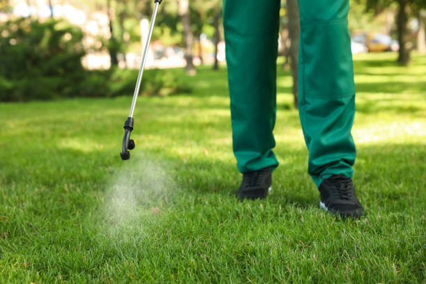 Best Exterminator Services  in De Witt, NY