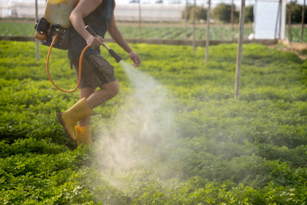 Best Commercial Pest Control Services  in De Witt, NY