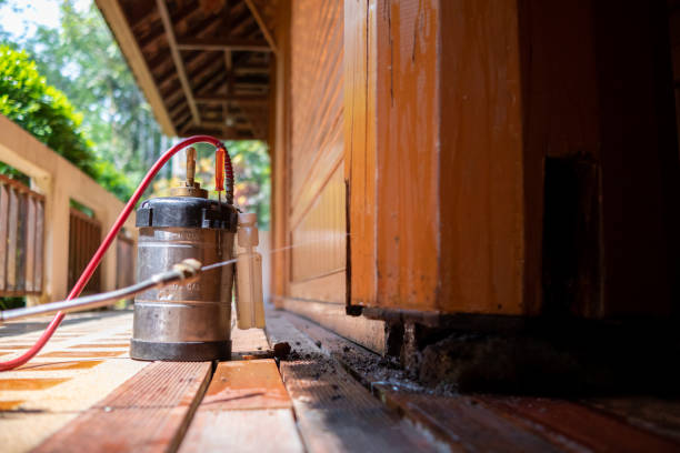 Best Termite Control Services  in De Witt, NY