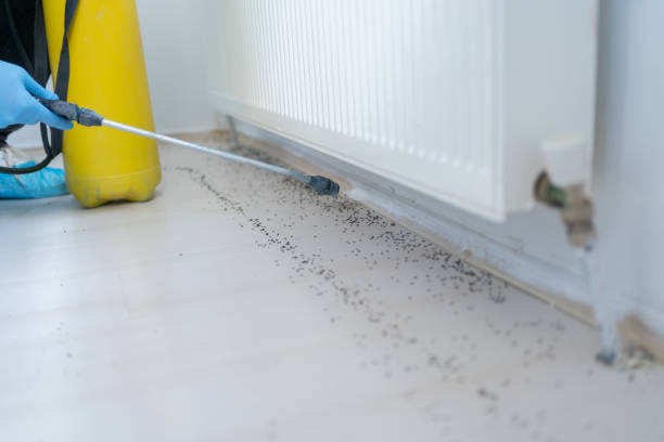 Best Bed Bug Extermination  in De Witt, NY
