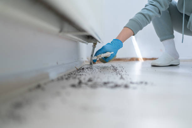 Best Affordable Pest Control Services  in De Witt, NY